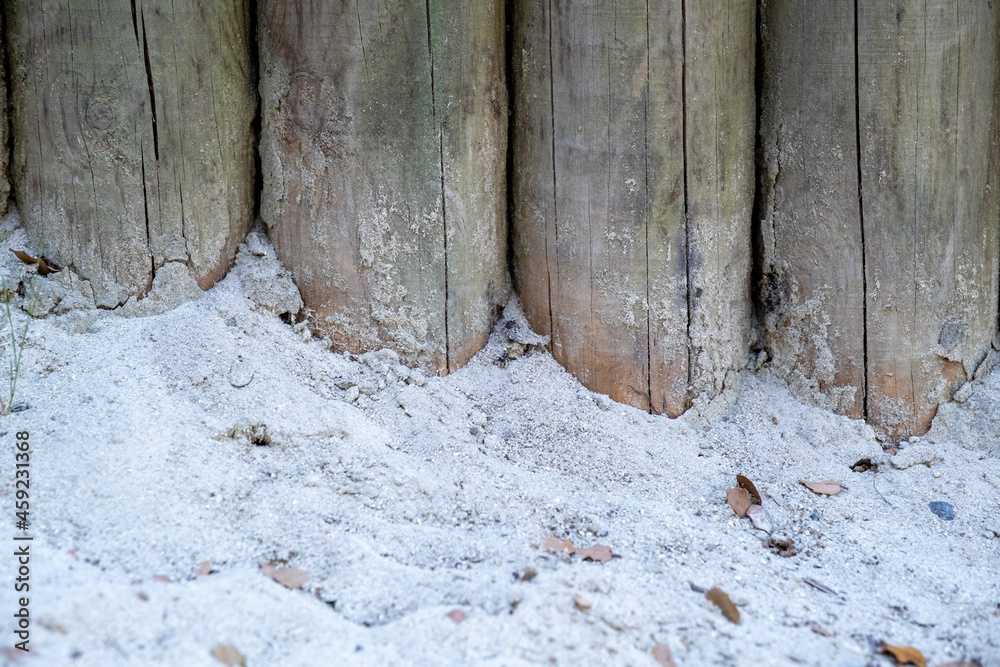 Cylindrical woods lying side by side on the sand Cylindrical woods lying side by side on the sand