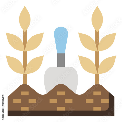 cultivation