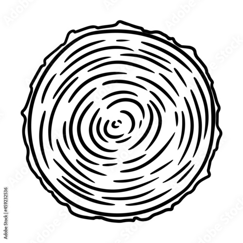 Cross section of tree stump. Wooden cut section doodle. Cartoon comic style image of wood. Media highlights graphic icon