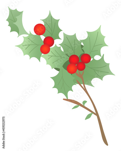 クリスマスのヒイラギ１