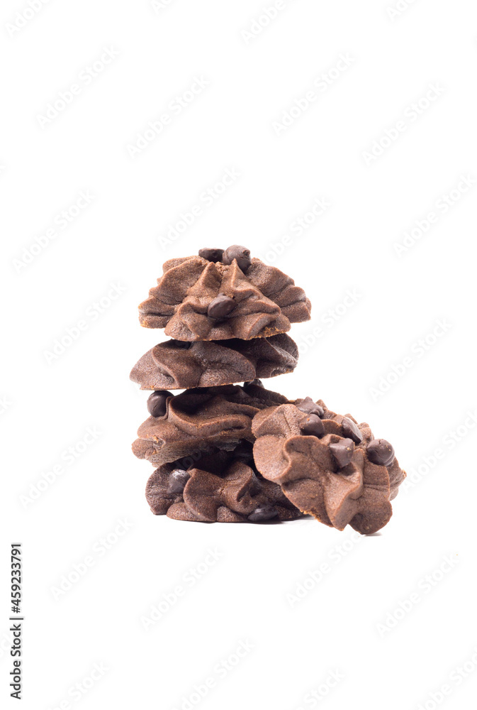 pine cone isolated on white background pine cone isolated on white background
