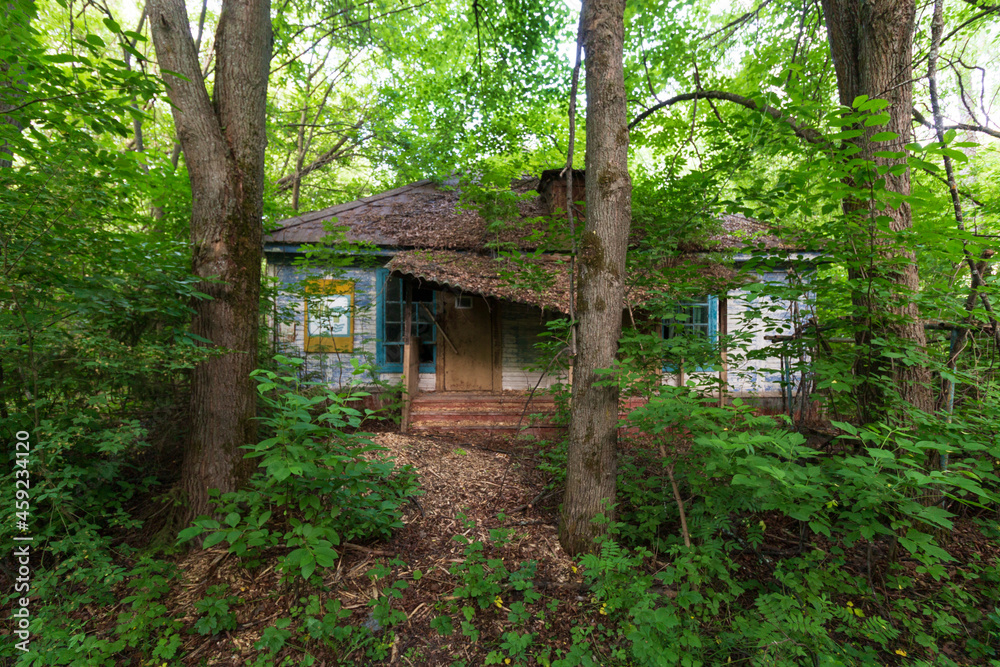 wooden house in an abandoned children's camp wooden house in an abandoned children's camp