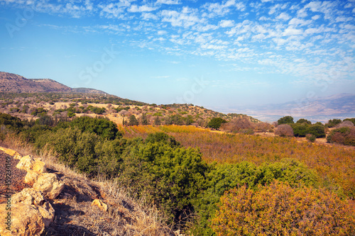 Hills near the Sea of Galilee  Israel
