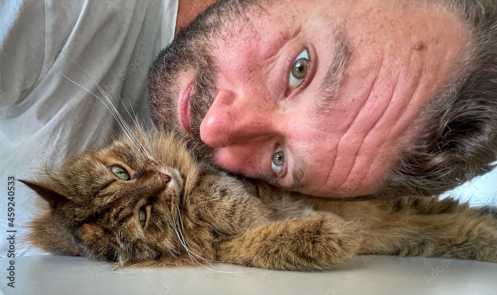 Selfie of a cute cat with the owner Selfie of a cute cat with the owner