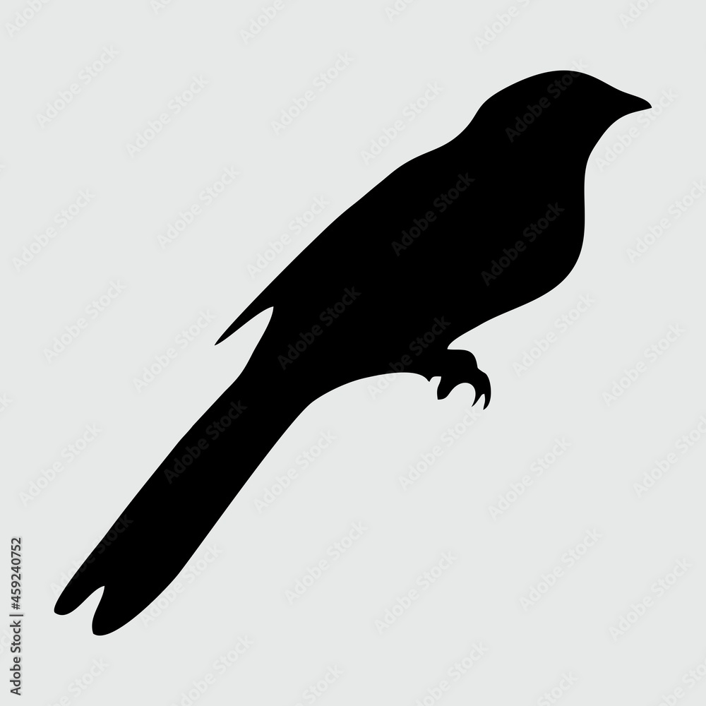 Bird Silhouette, Bird Isolated On White Background Bird Silhouette, Bird Isolated On White Background