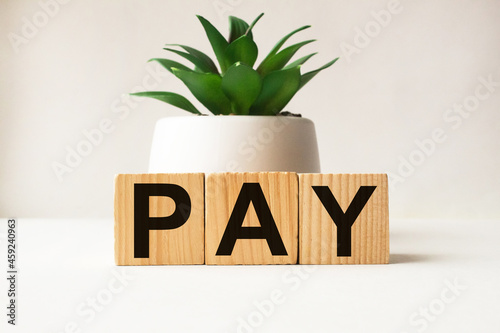 A businessman holds wooden cubes with a word PAY on a white background, with space to copy the text, business concept