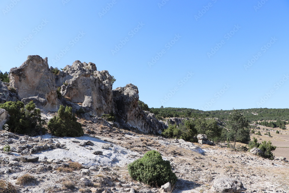 landscape with trees and rocks landscape with trees and rocks
