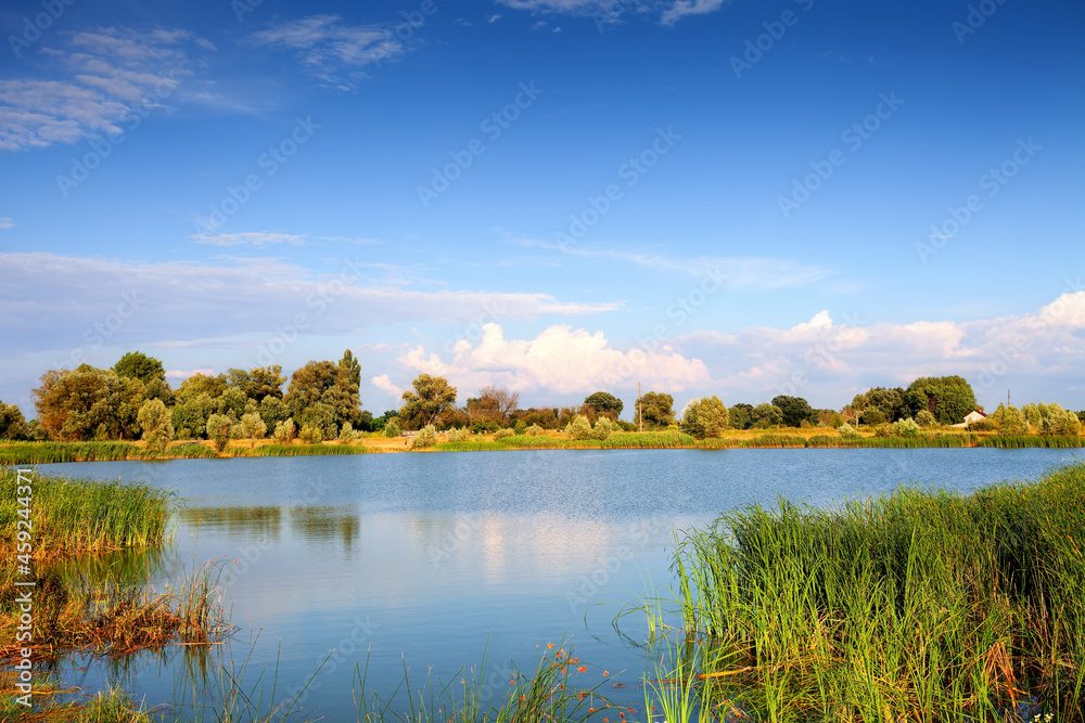 Obraz premium Lake in summer time, rural landscape