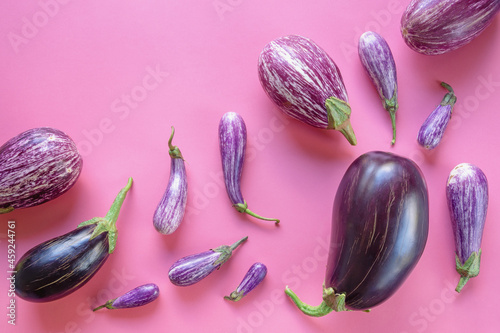 Different varieties of eggplant on pink background. Flat lay, free space for text photo