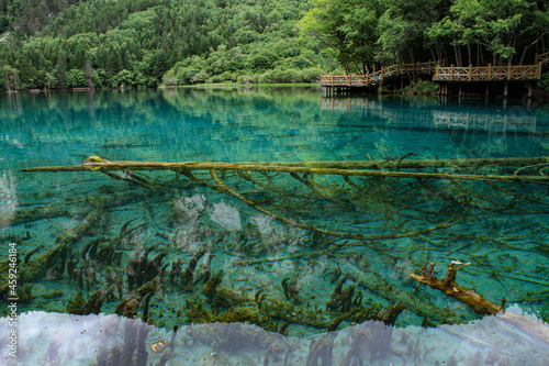 Fototapeta Naklejka Na Ścianę i Meble -  Ultramarine water in the travertine pools of the reserve