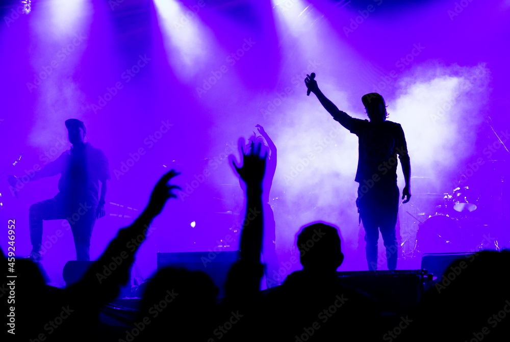 crowd at concert and silhouettes in stage lights