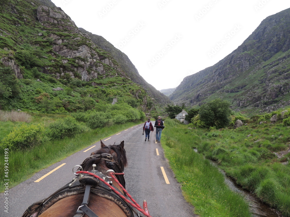 Ruta en carruaje de caballo por las tierras irlandesas.