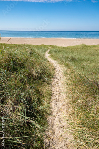 path to the beach at the north sea coast in Denmark