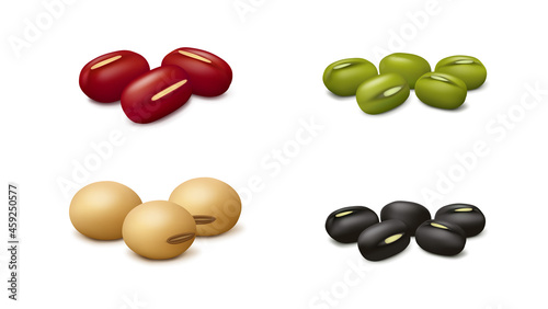 Groups of red adzuki, black gram, soy and green mung beans isolated on white background. Realistic vector illustration. Side view. photo