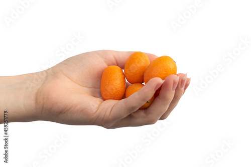 Small citrus kumquats in woman hand isolated on a white background photo