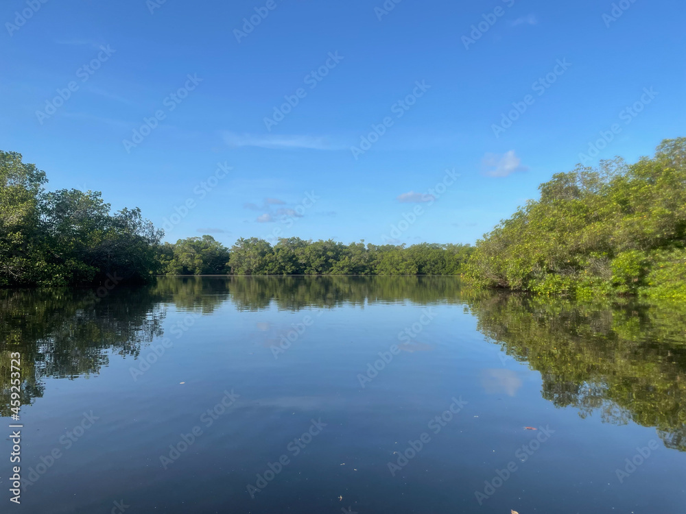 mangroves and calm water in Sanibel Island