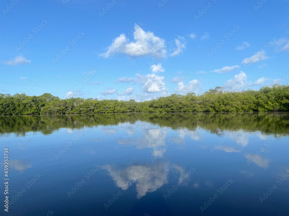 mangroves and calm water in Sanibel Island