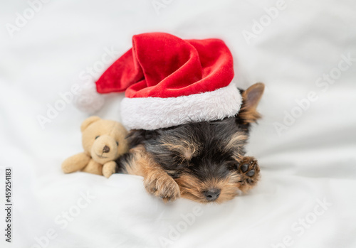 Cute Yorkshire terrier puppy wearing red santa hat sleeps with toy bear under white blanket at home. Top down view