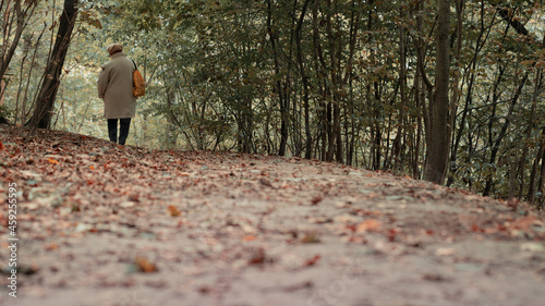 Forest, forest and woman, forest in autumn, fallen leaves