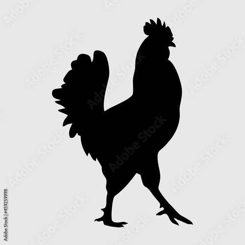 Chicken Silhouette, Chicken Isolated On White Background