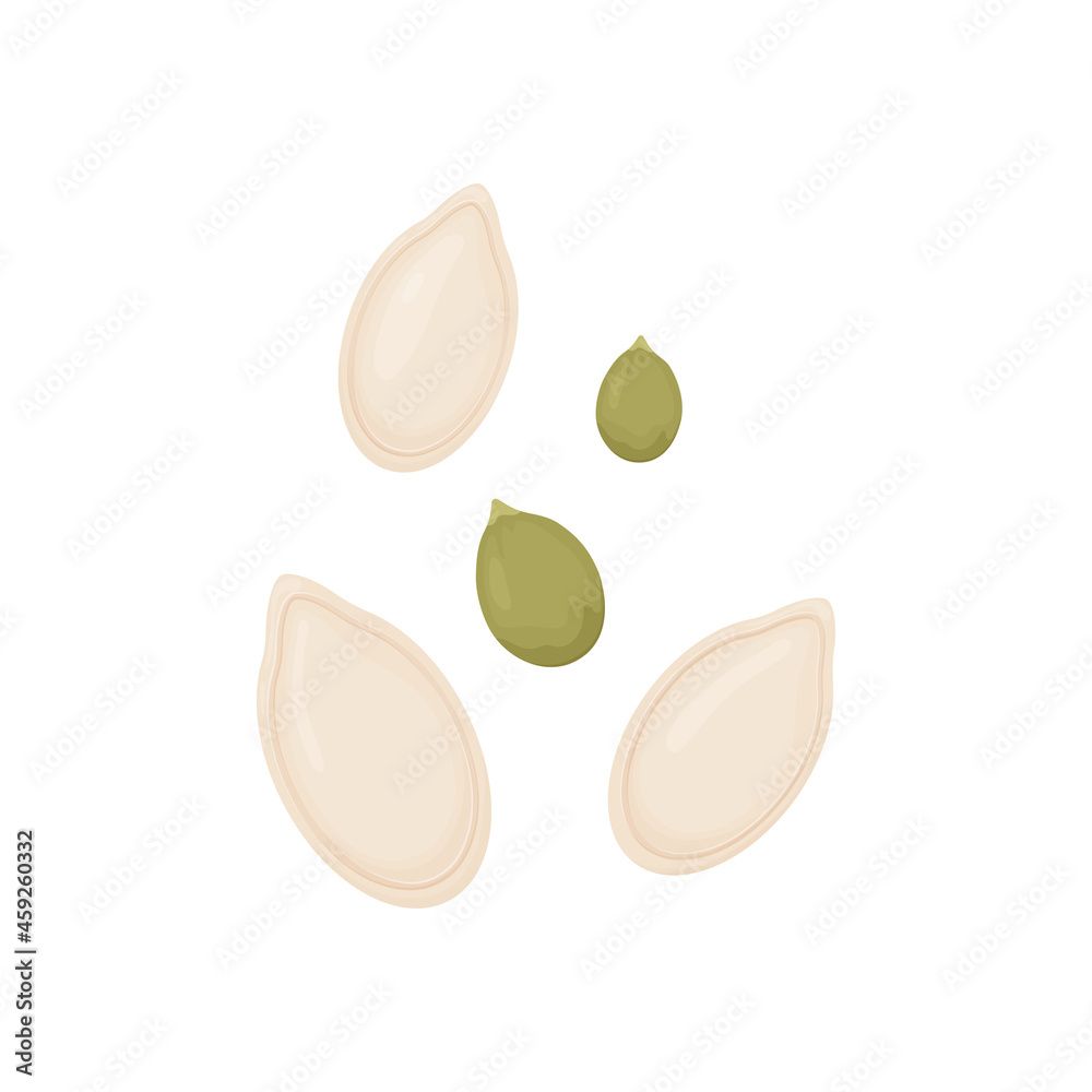 Pumpkin seeds. Vegetable seeds isolated on white background.
