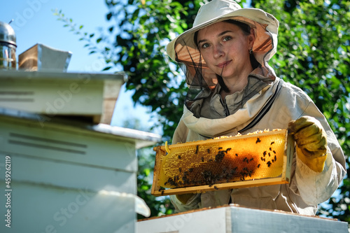 Young female beekeeper hold wooden frame with honeycomb. Collect honey. Beekeeper on apiary. Beekeeping concept.