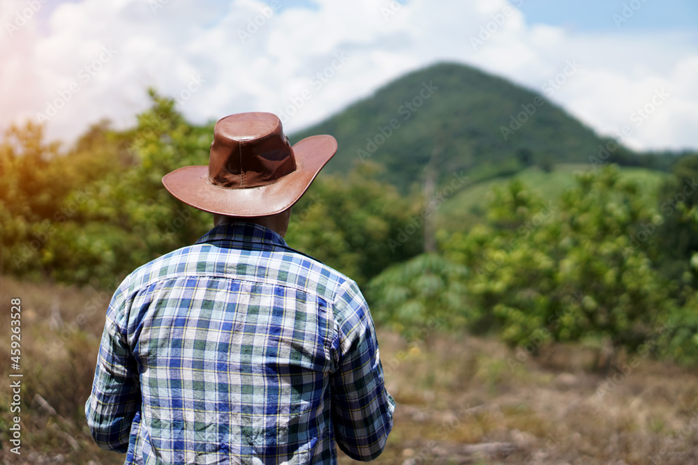 Back view of man wears hat, stands and looks at the mountains and forest. Concept :  observe and  enjoy nature. Travel alone in forest. nature. Tourism, Freedom  lifestyle. Eco traveling. Recreation.