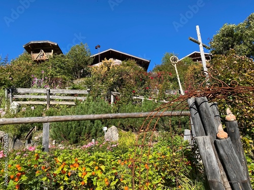 Rose Garden Uhrerhof (The highest rose garden in Europe) or Rosarium Uhrerhof (Höchstgelegener Rosengarten Europas) or Roseto Ortisei - South Tyrol, Italy (Südtirol, Italien) photo