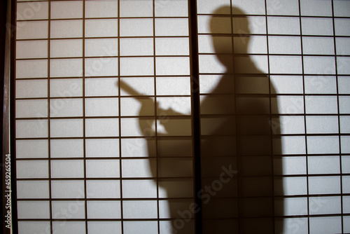 Samurai shadow 1 photo