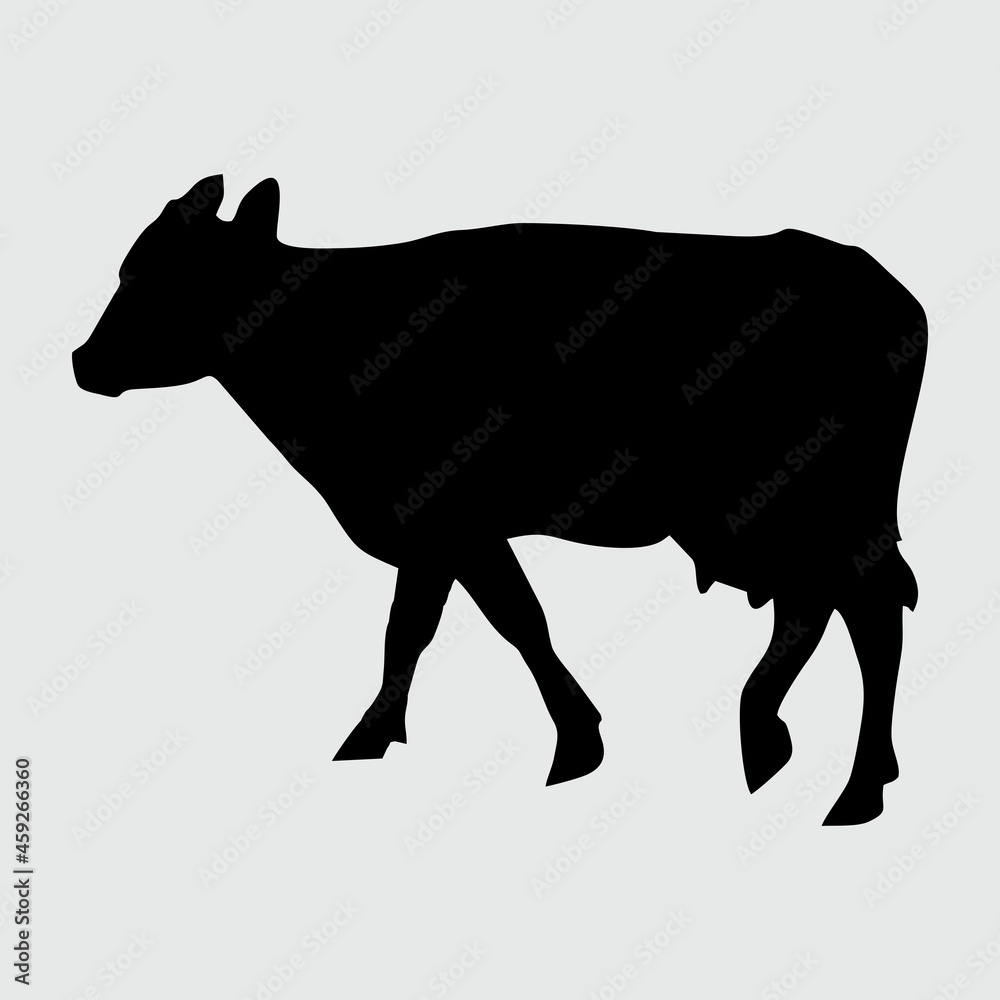 Cow Silhouette, Cow Isolated On White Background Cow Silhouette, Cow Isolated On White Background