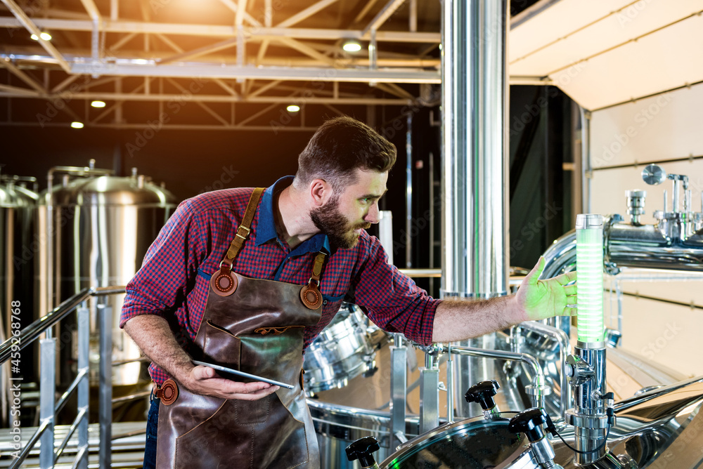 Young male brewer in leather apron supervising the process of beer fermentation at modern brewery factory Young male brewer in leather apron supervising the process of beer fermentation at modern brewery factory