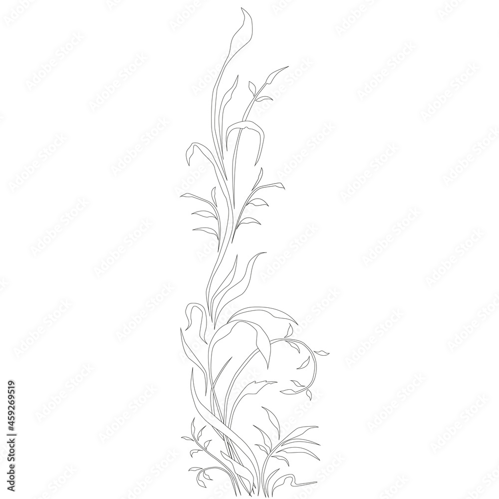 Beautiful hand drawn flower. Vector floral illustration