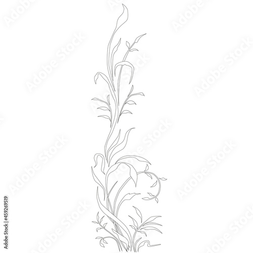 Beautiful hand drawn flower. Vector floral illustration
