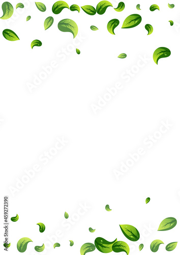 Green Leaf Nature Vector White Background Poster.