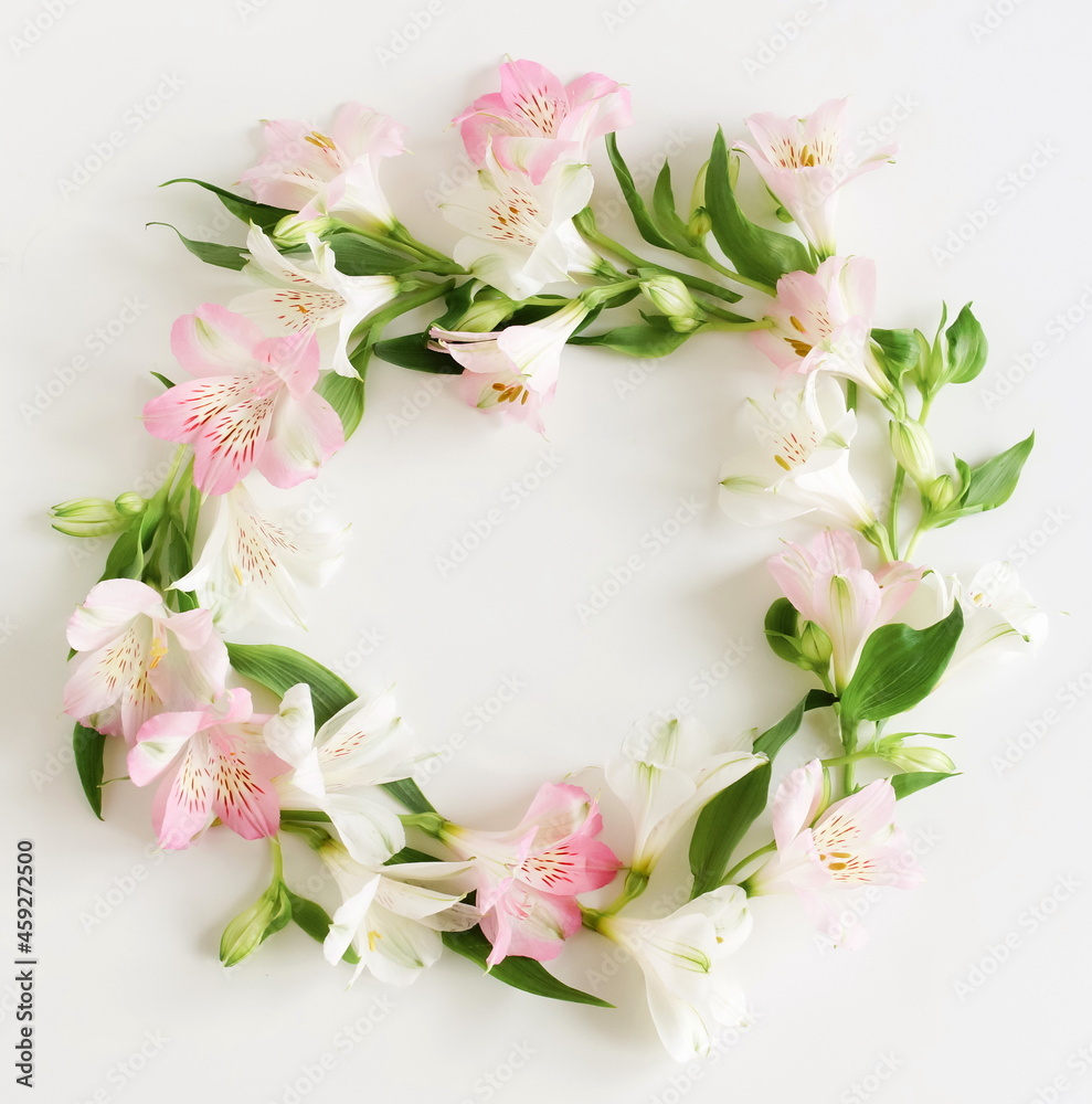 White and pink flowers frame wreath top view on white background with copy space.Alstroemeria flowers bouquet .  Poster.Floral card.