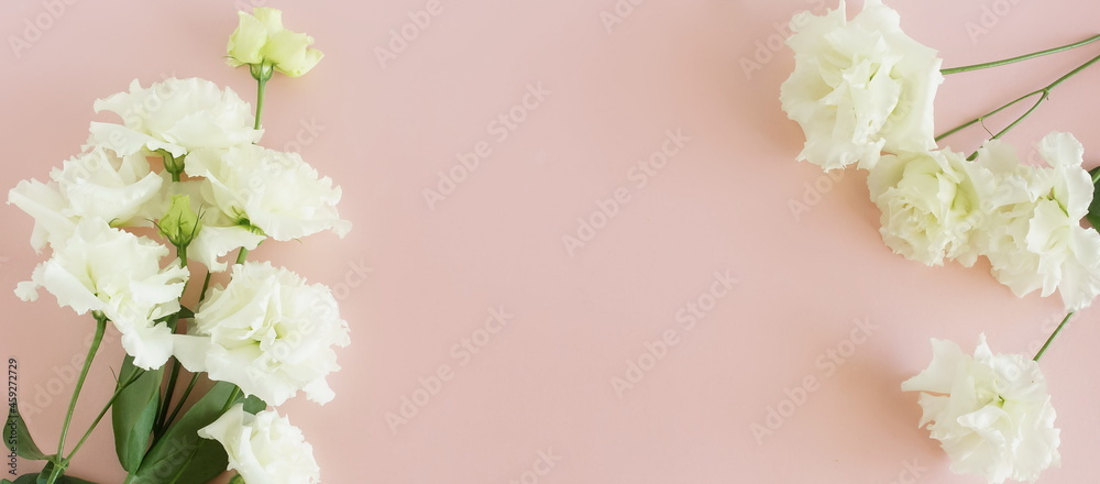 Flowers background banner.White eustoma flowers frame on pink background top view, copy space. Minimal floral card template.