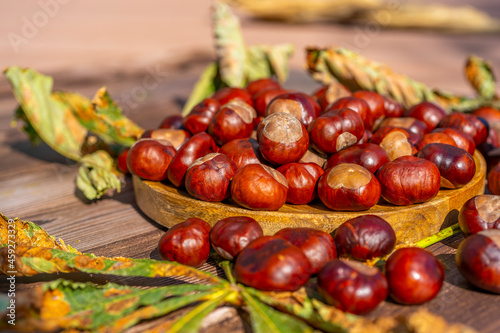 Chestnuts in a plate with dry leaves on a brown wooden table. Autumn still life with bright horse chestnuts on wooden background