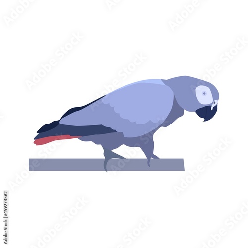 Abstract modern illustration of a african grey parrot ((Psittacus erithacus). Side view. Trendy artistic vector design isolated on white background.