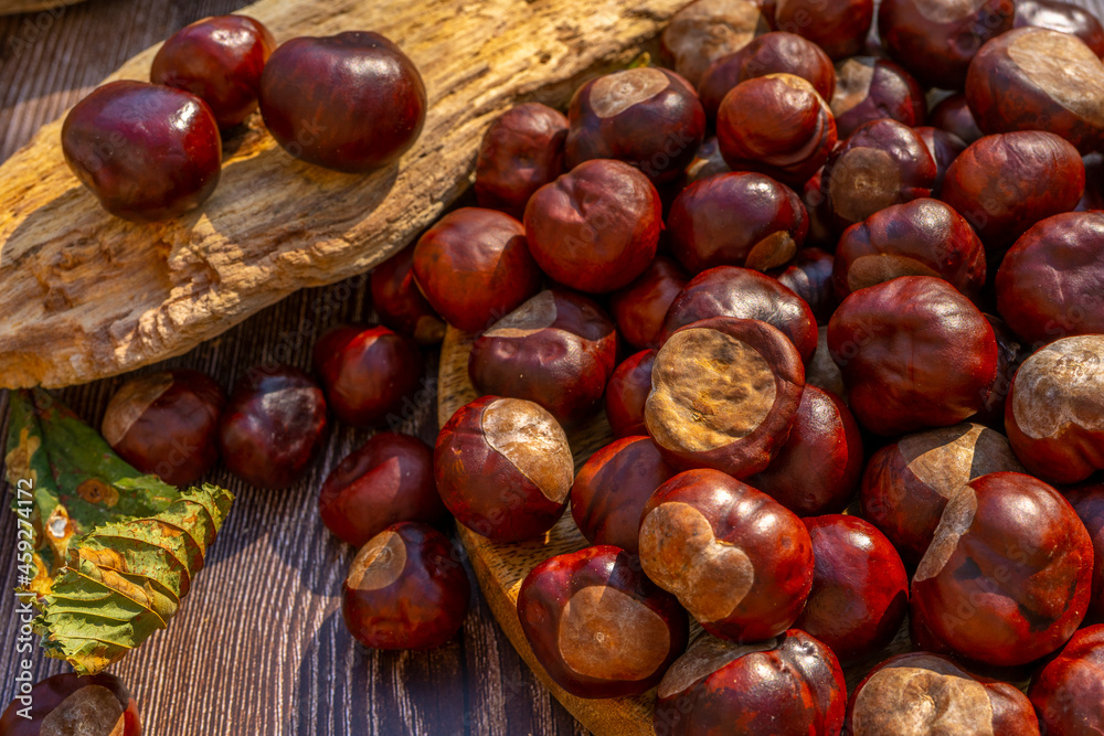 Chestnuts in a plate with dry leaves on a brown wooden table. Autumn still life with bright horse chestnuts on wooden background Chestnuts in a plate with dry leaves on a brown wooden table. Autumn still life with bright horse chestnuts on wooden background