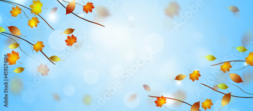 Autumn Falling Leaves Blue Banner