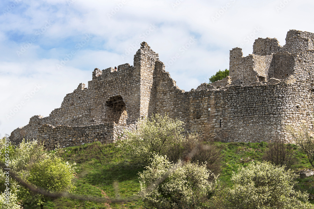 Front door of the Crussol castle ruins with blossoming almond trees on a foreground.