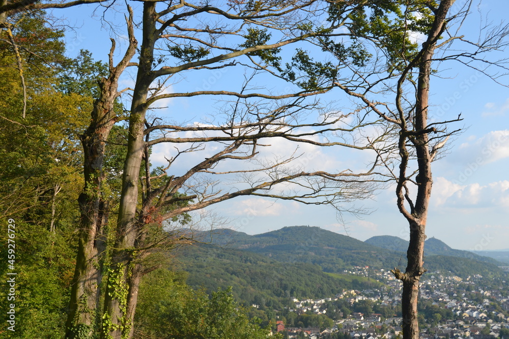 Fototapeta premium a city from a hill in a wooded area