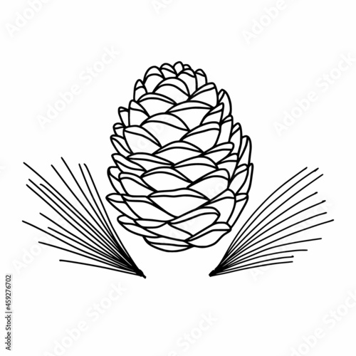 Cedar cone drawing