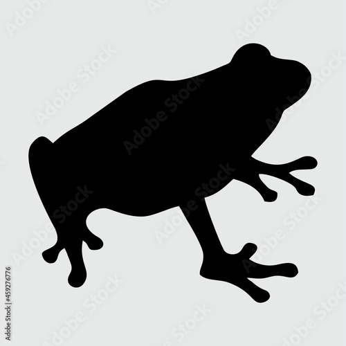 Frog Silhouette, Frog Isolated On White Background