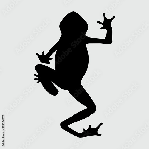 Frog Silhouette, Frog Isolated On White Background