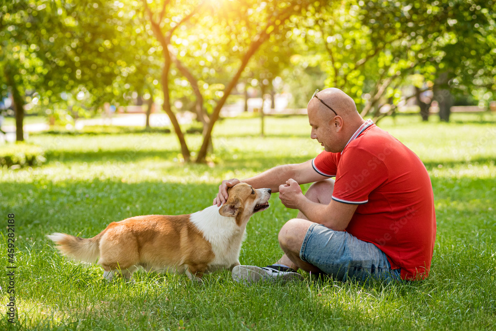 Adult man is training her Welsh Corgi Pembroke dog at city park Adult man is training her Welsh Corgi Pembroke dog at city park