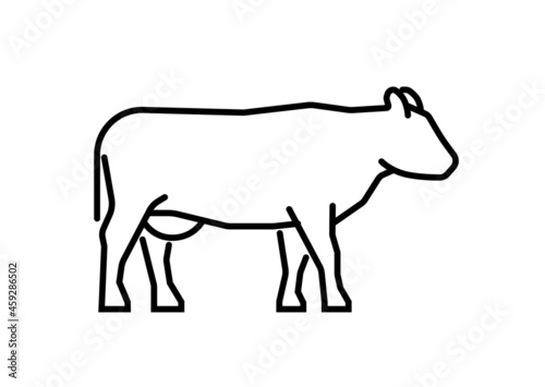 Cow standing icon  basic black line symbol. Vector illustration isolated on white background.