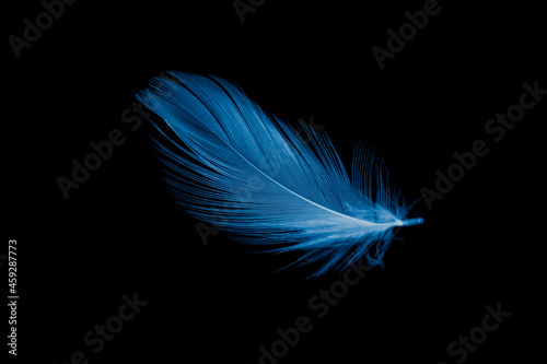 Valokuva blue duck feather on black isolated background