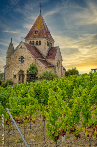 View to the Kreuzkapelle in Gau Bickelheim / Germany in the midst of vineyards at sunset 