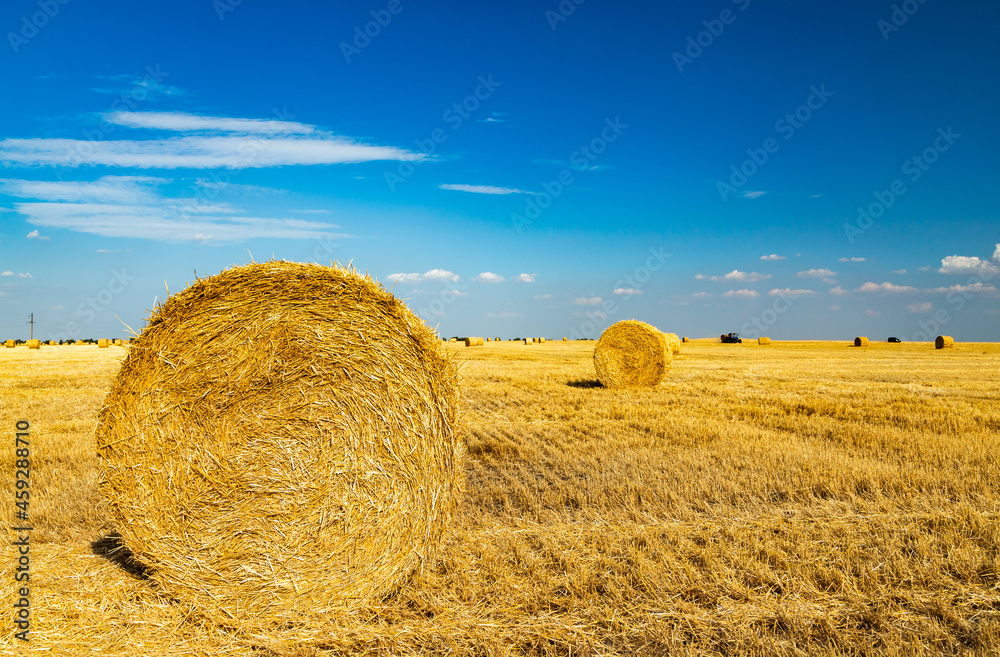 Hay bales ready to harvest summer landscape with beautiful sunset, nature field, summer, clouds